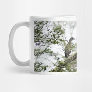 elb night heron Mug